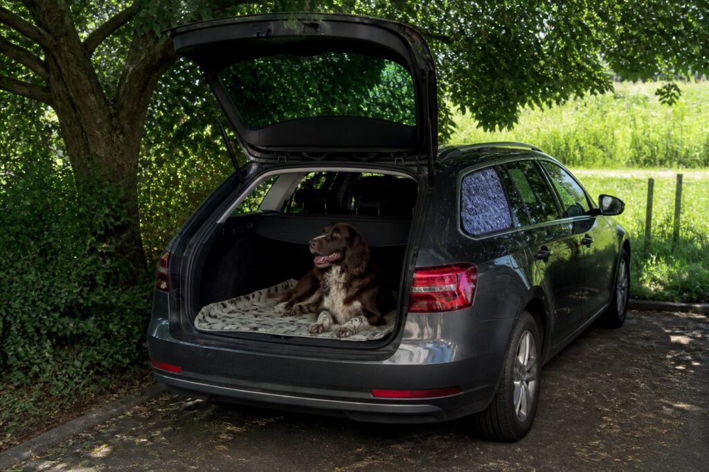 Auto & reizen