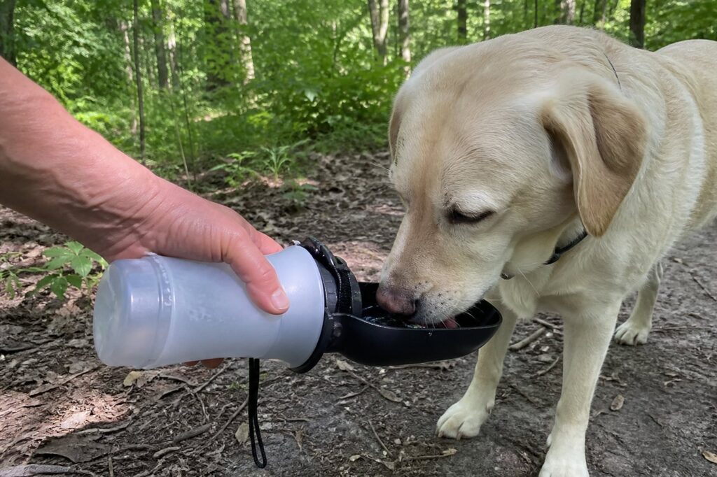 Drinken onderweg