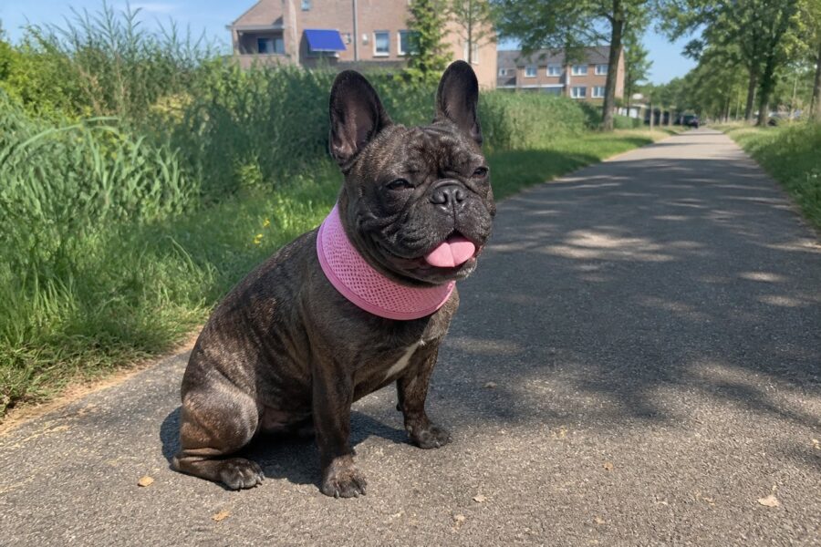Koelband voor de hals — roze, maat S