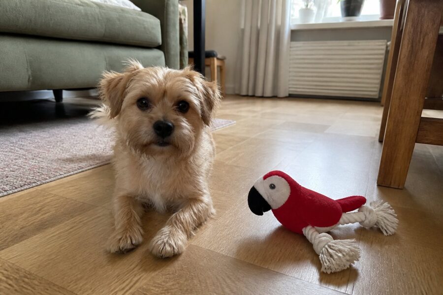 Pluche papegaai met touwpoten — rood