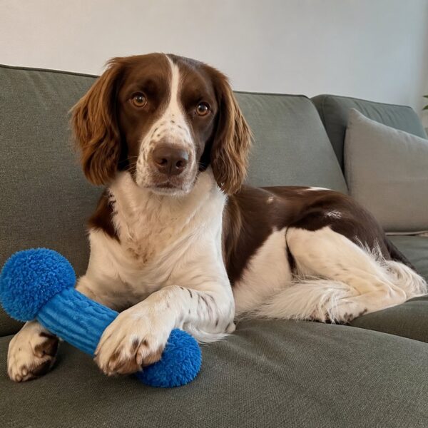 Knisperspeeltje met pluche — saffierblauw
