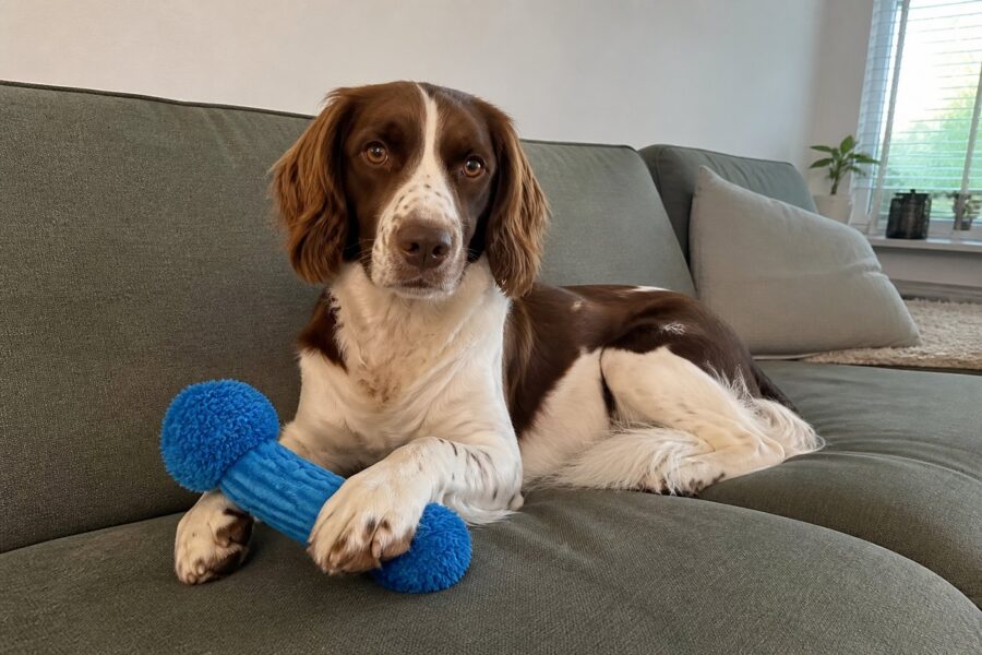 Knisperspeeltje met pluche — saffierblauw