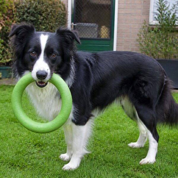 Trainingsring van schuimrubber — groen, 18,5 cm