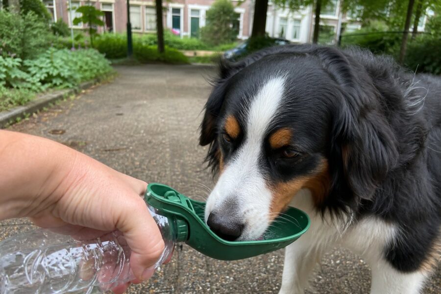 Drinkbakje op je bidon — groen