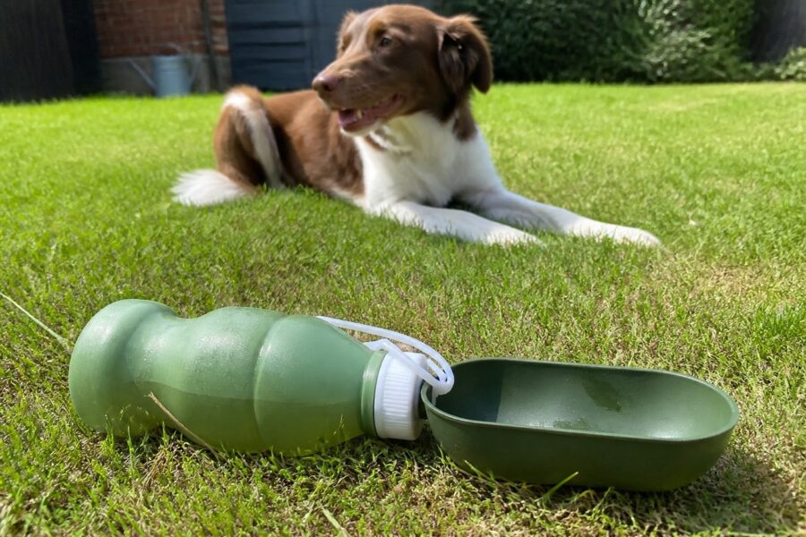 Knijpfles met drinkbak — groen, 500 ml